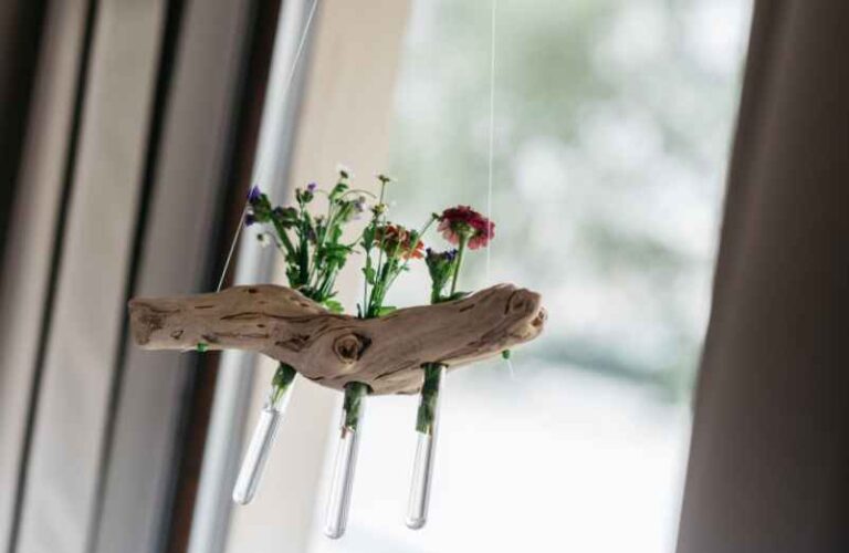 Idées de déco en bois flotté à faire soi-même : créez des objets