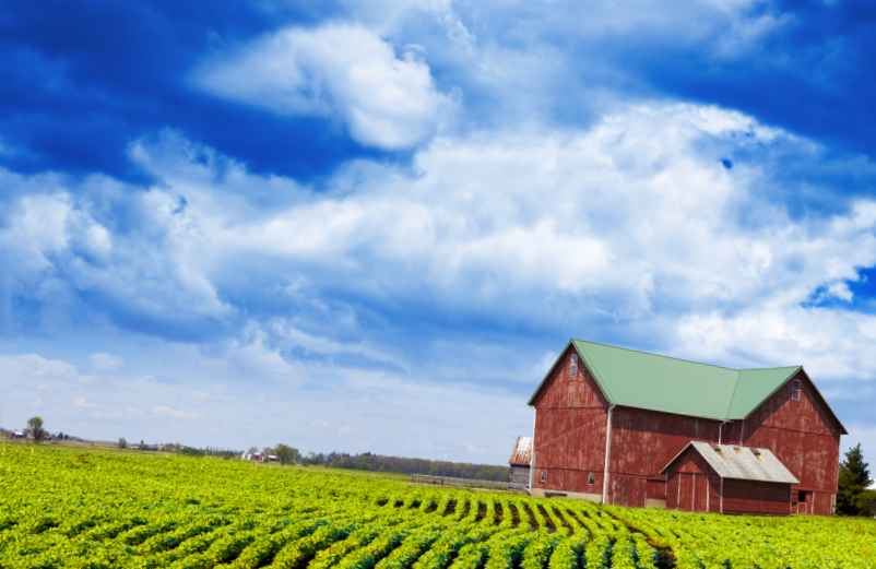 Anticiper les contraintes spécifiques aux zones agricoles-Kallou