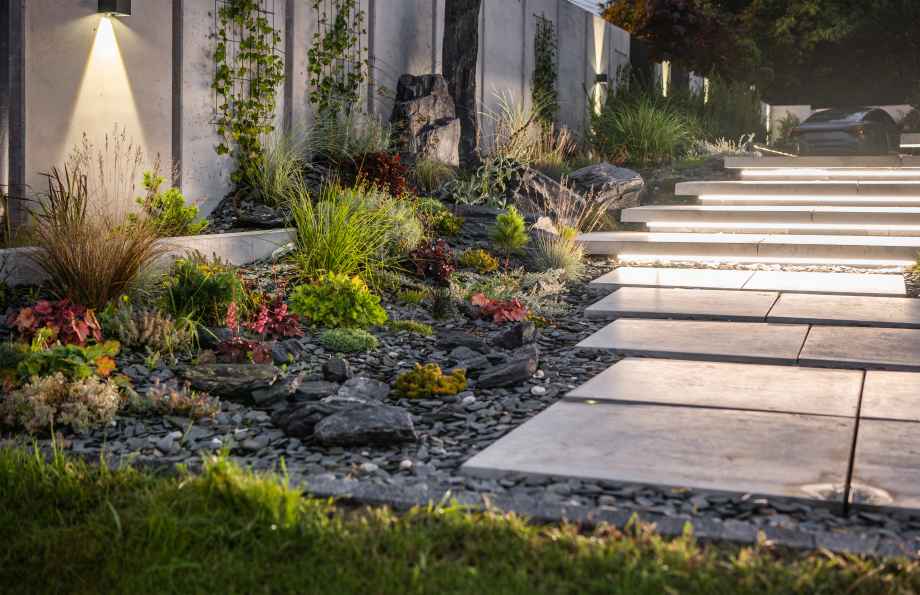 Miser sur les plantes pour un aménagement naturel et économique-Kallou