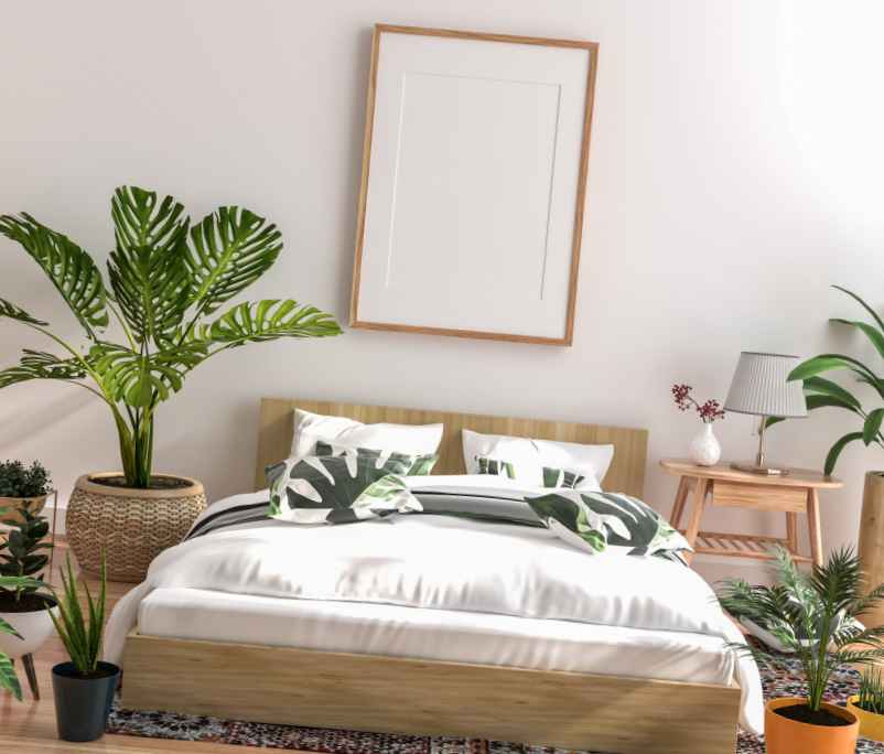 Quelle plante mettre dans une chambre pour bien dormir ?-Kallou
