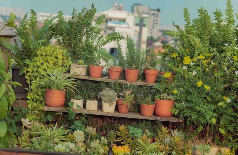 Comment pour garantir l’autonomie de vos plantes d’extérieur ? Kallou