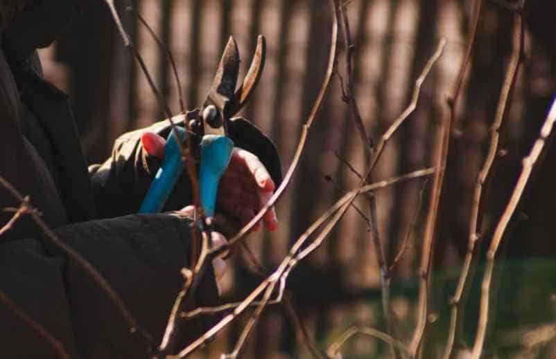 Quels sont les outils et précautions à prendre pour ne pas les fragiliser ? Kallou