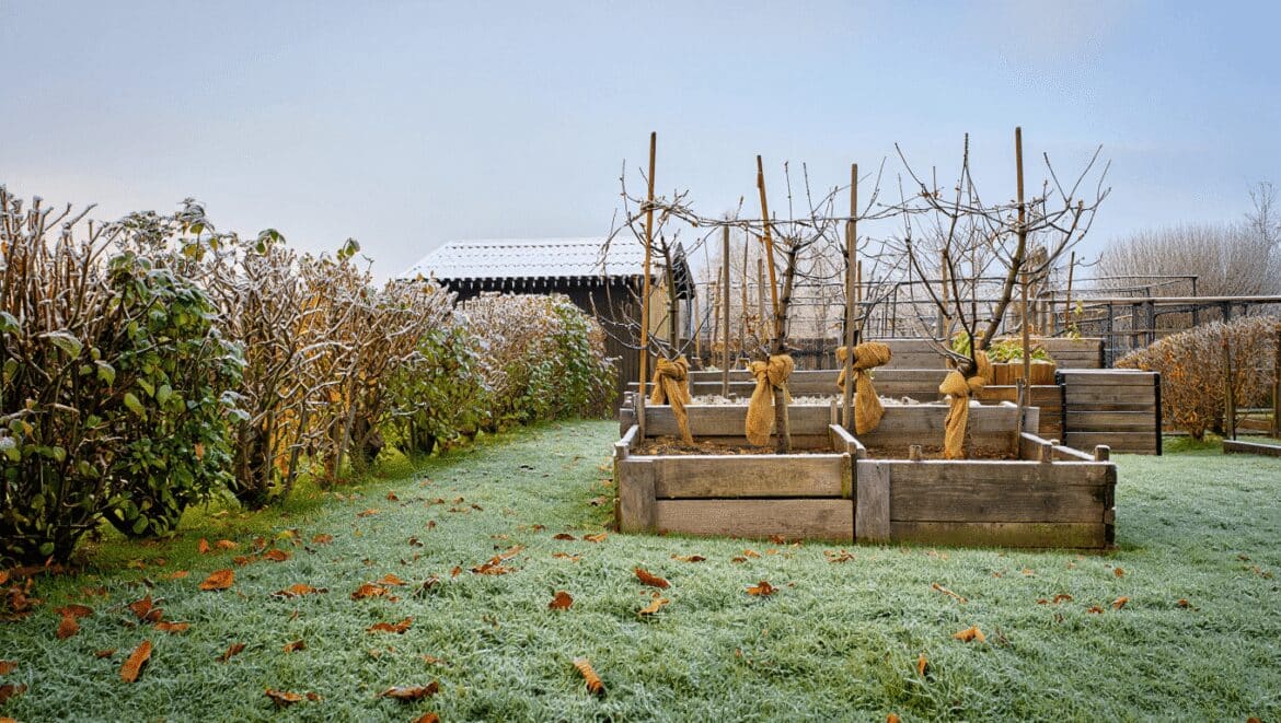 Comment entretenir son jardin en hiver ?