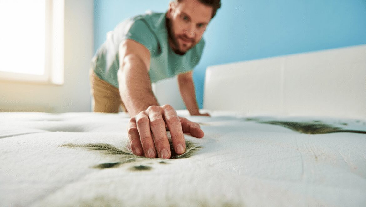 Moisissures sur un matelas : 12 astuces pour s'en débarrasser !