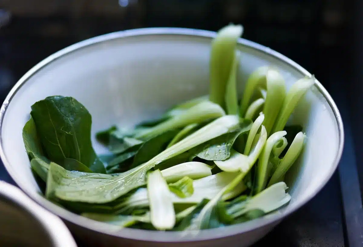 Jeunes plants de légumes feuilles : pak choï, roquette et chou chinois en godets