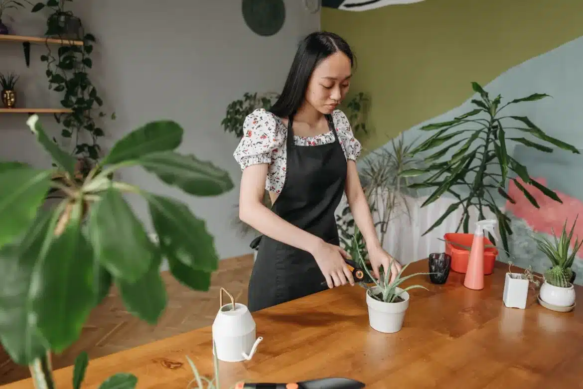 Bouteille d'eau inversée placée dans un pot de plante d'intérieur pour l'auto-arrosage