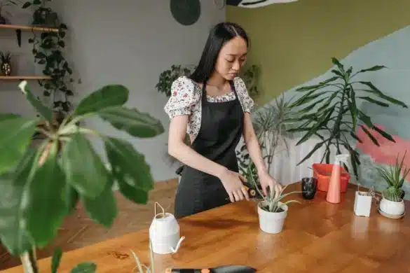 Bouteille d'eau inversée placée dans un pot de plante d'intérieur pour l'auto-arrosage