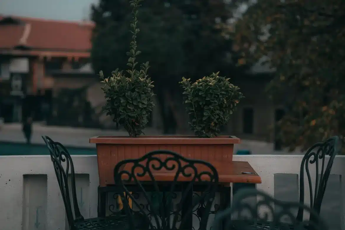 Soucoupe remplie d'eau sous un pot de fleur sur un balcon en été