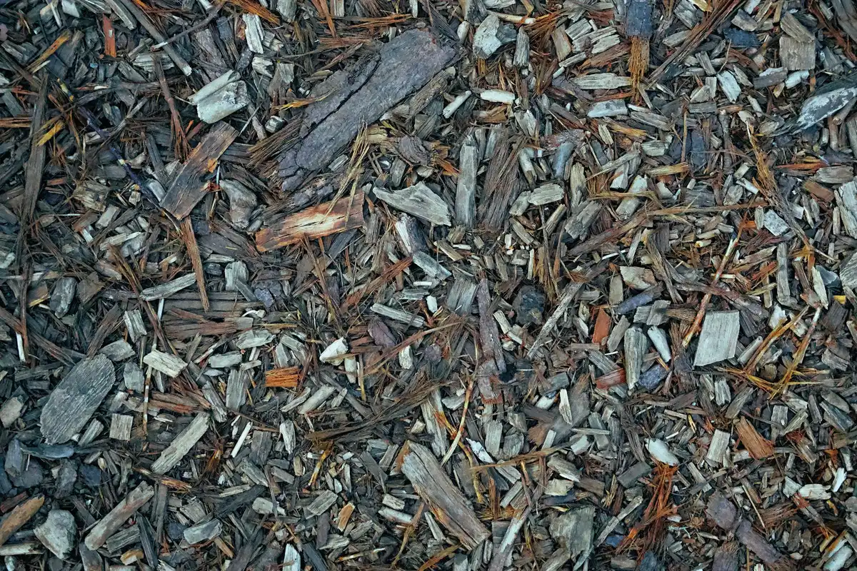 Barrière de paillage textile empêchant la croissance des mauvaises herbes dans le potager