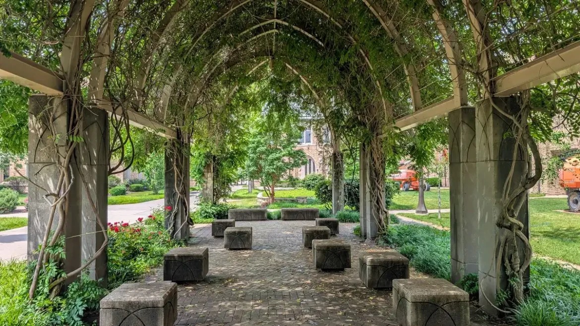 Pergola en bois avec plantes grimpantes verdoyantes créant une ombre naturelle