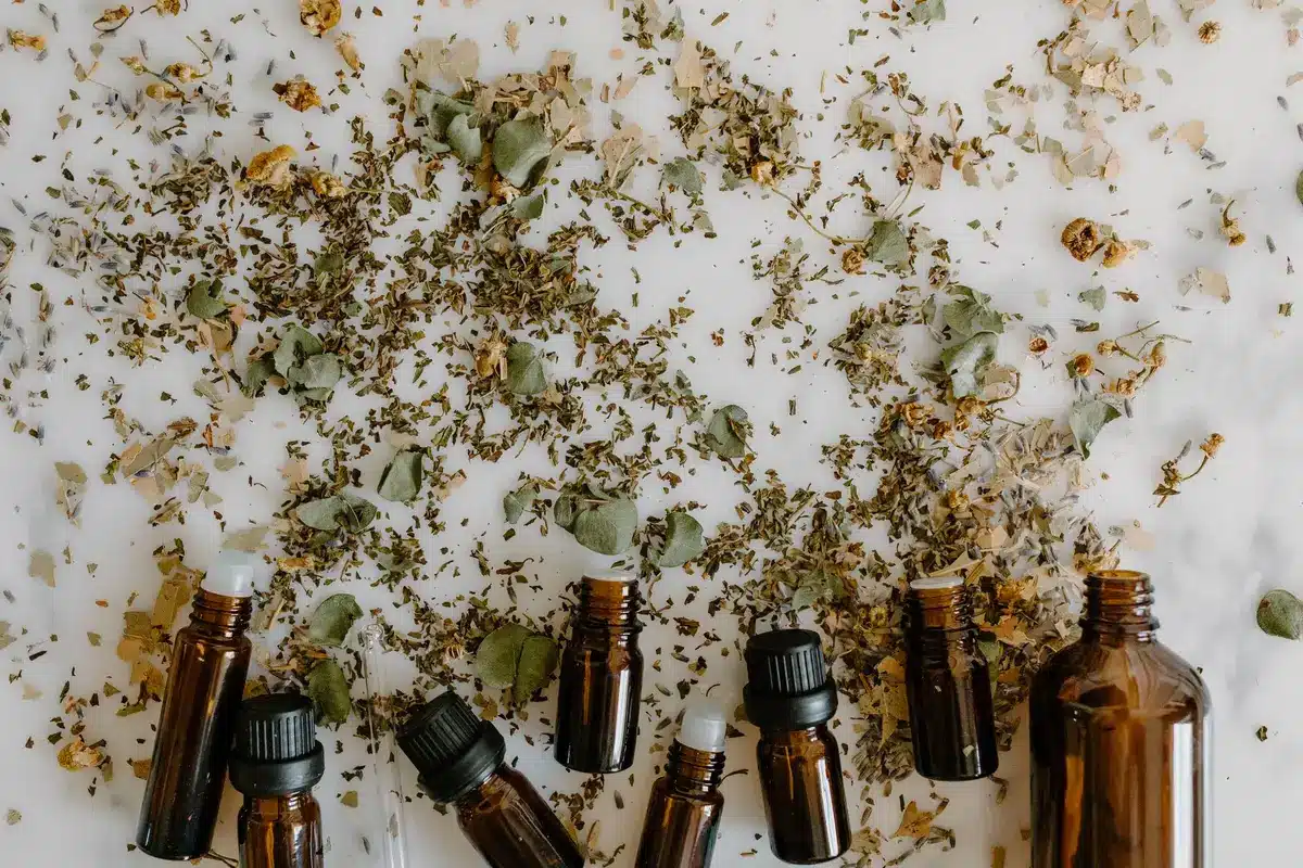 Huiles essentielles et plantes naturelles répulsives contre les moustiques