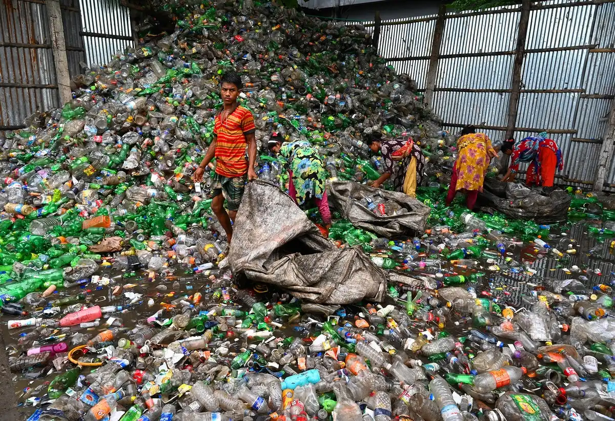Ramassage et évacuation des déchets verts du jardin
