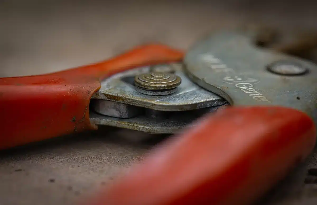 Sécateur tranchant et alcool désinfectant pour nettoyer les outils de bouturage