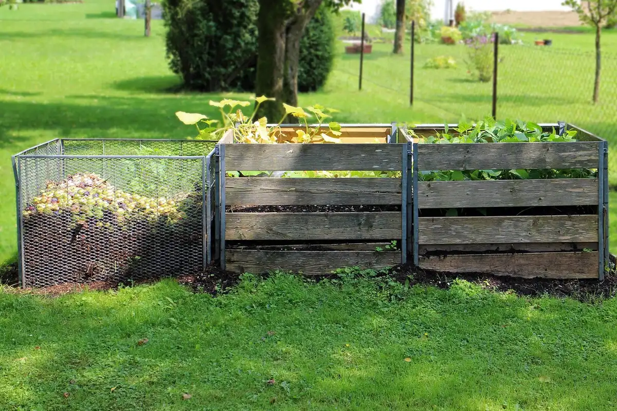 Compost mûr et sol préparé pour les semis tardifs d'automne