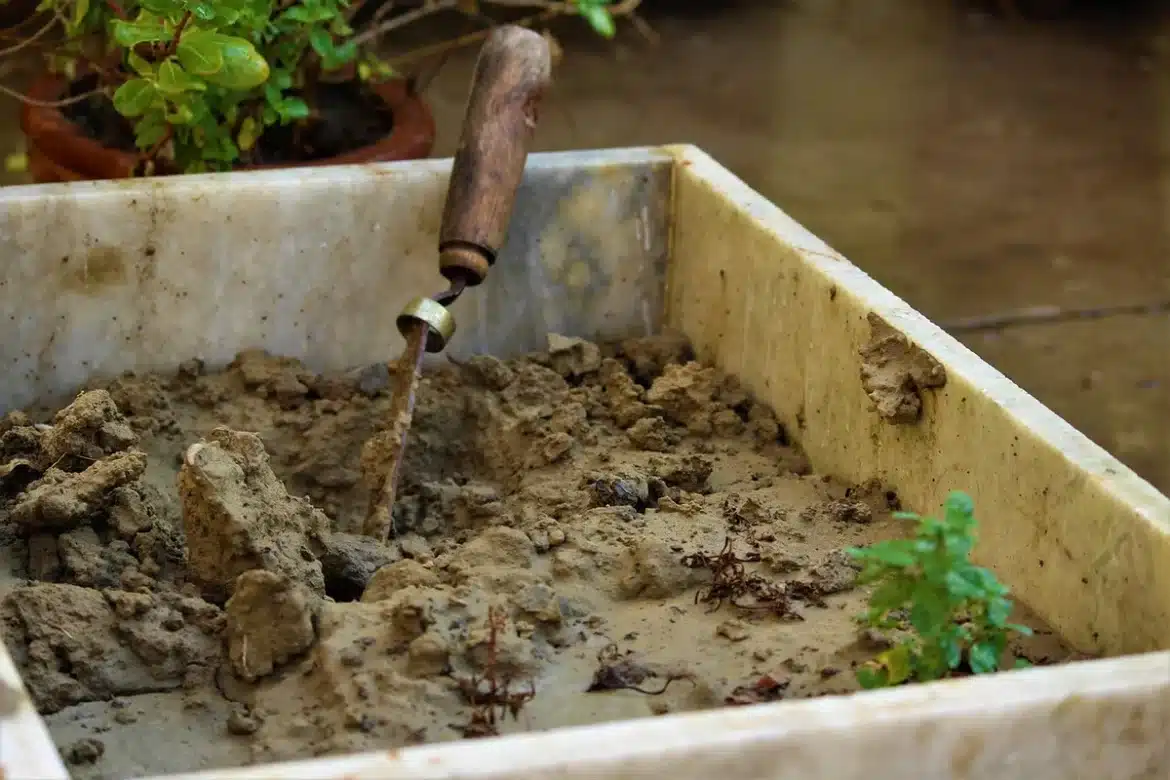 Mains semant des graines dans un sol chaud et préparé en fin août, avec des jeunes plants et une protection textile en a