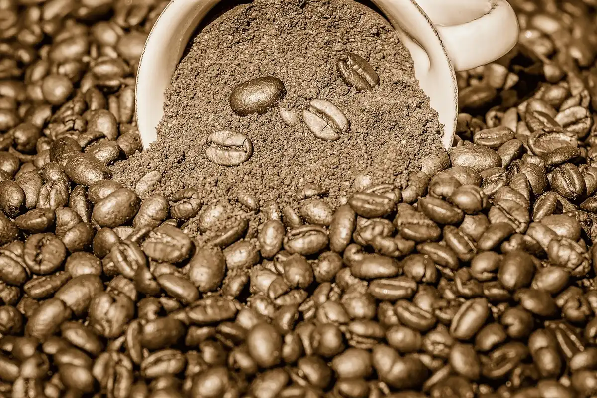 Marc de café mélangé au terreau dans un pot de rempotage