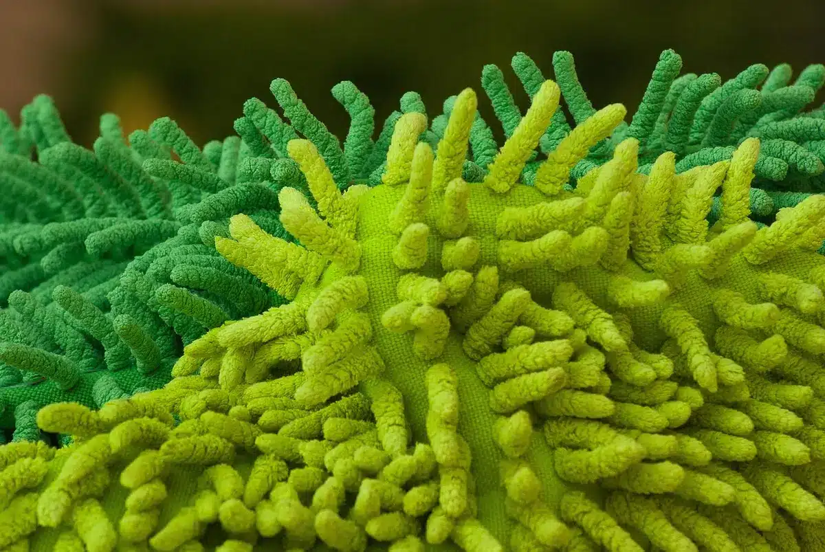 Personne essuyant un plan de travail de cuisine avec un chiffon microfibre